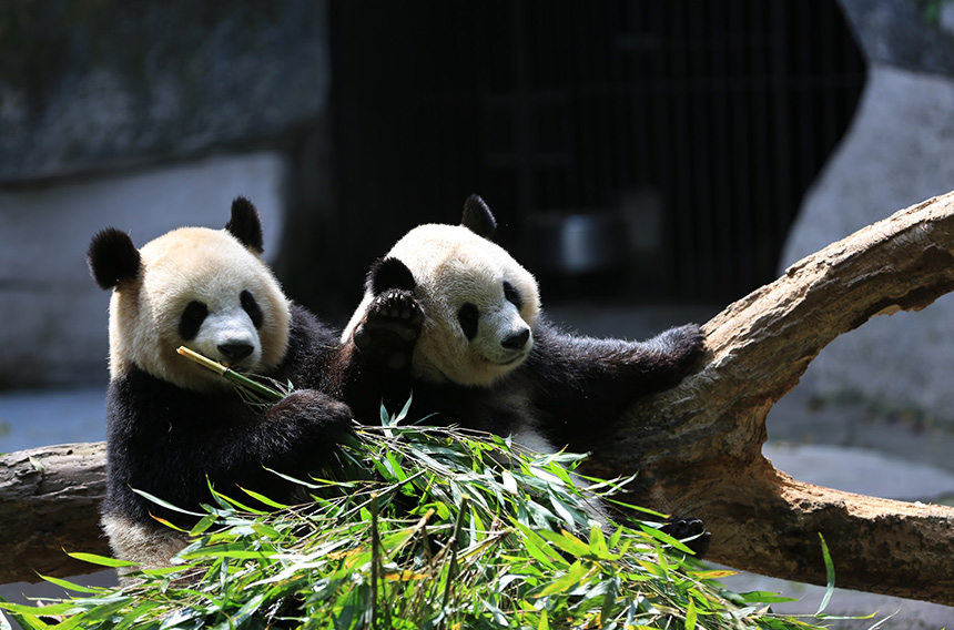 生物多样性；